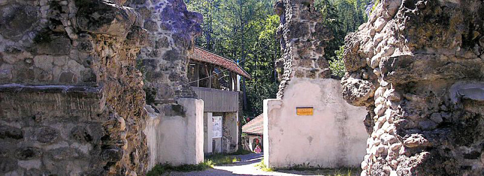Burgruine Alttrauchburg