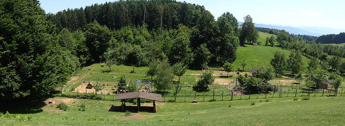 Wildpark Sonnenhalde / Neukirch