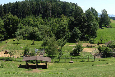 Wildpark Sonnenhalde / Neukirch