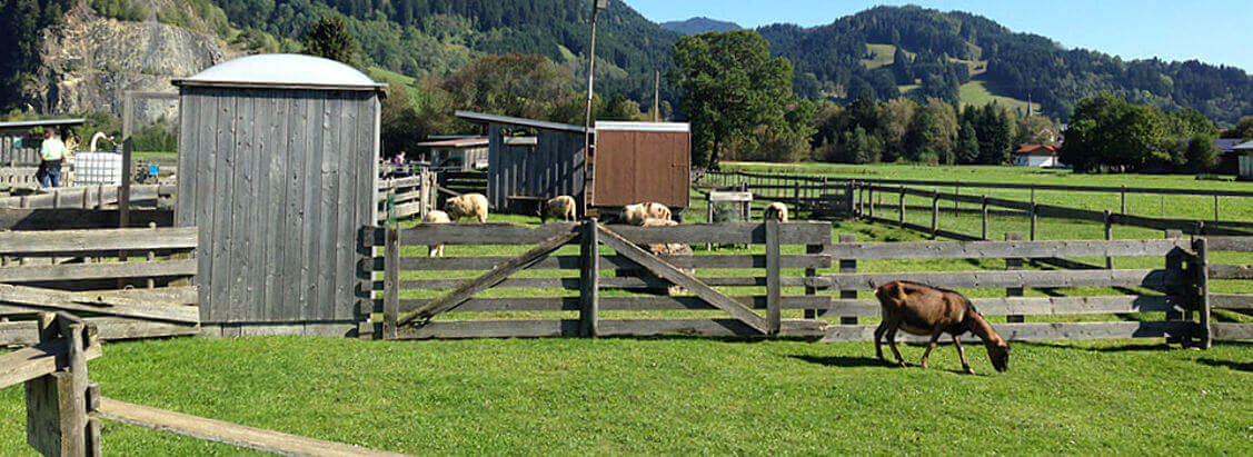 Burgberger Tierparadies