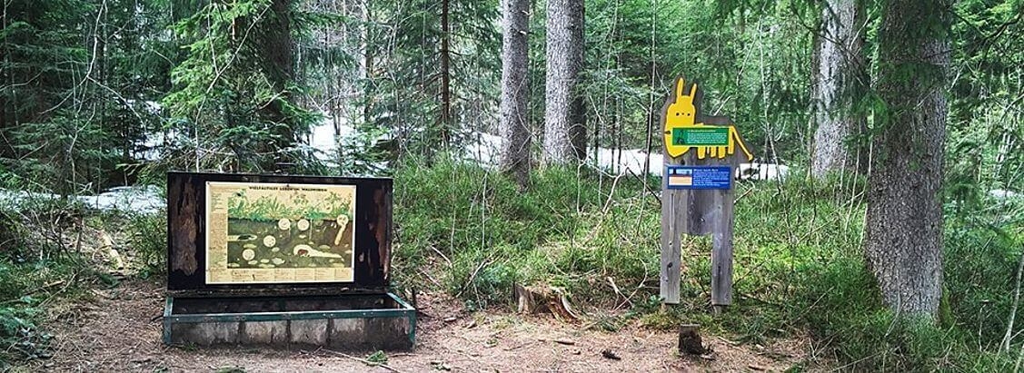 Kuhnigundenweg