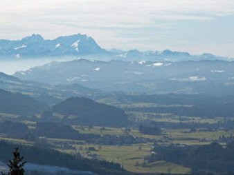 Westallgäu